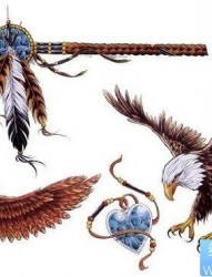 老鹰纹身图片：经典流行老鹰羽毛纹身图案