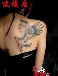 女人肩背展翅的老鹰纹身图片