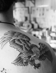 女人肩背帅气的黑灰老鹰纹身图片