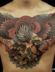男性前胸超酷的老鹰与骷髅纹身图片