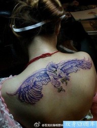 女人背部超酷的彩色老鹰纹身图片
