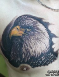 男生胸部帅气的老鹰纹身图片