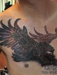 前胸一张霸气的老鹰纹身图片