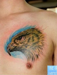 胸部一张超酷的老鹰纹身图片