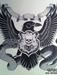 流行很酷的一张老鹰与蛇纹身手稿
