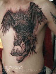 男生前胸前卫超酷的老鹰纹身图片
