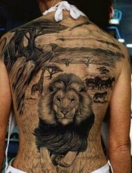 狮子纹身图片：满背狮子纹身图案