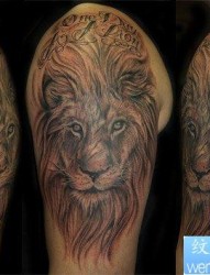 狮子纹身图片：手臂狮子狮子头纹身图案