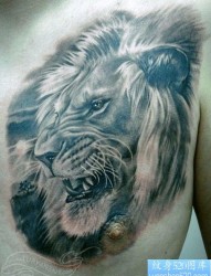 胸部超酷超帅的狮头纹身图片