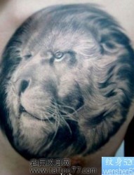 胸部狮子狮头纹身图片