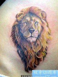 狮子纹身图片：腹部狮子狮头纹身图案