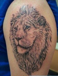 狮头纹身图片：超酷手臂狮子狮头纹身图案