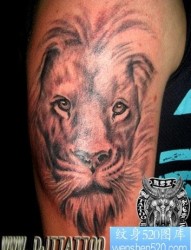 狮子纹身图片：经典霸气手臂狮子头纹身图案