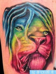 狮子纹身图片：手臂彩色狮子头纹身图案