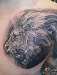 男生前胸霸气超酷的狮头纹身图片