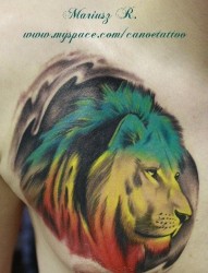 男生胸部超酷流行的彩色狮头纹身图片