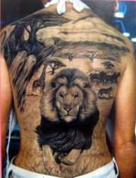 帅哥的一张满背狮子纹身图片