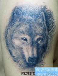 狼纹身作品：手臂狼头纹身图案