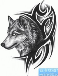 动物纹身作品：狼头纹身图案