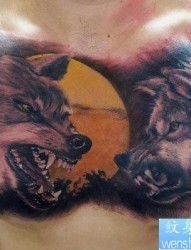 男生胸部超凶悍的狼头纹身作品
