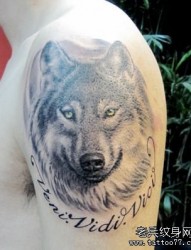 男人手臂经典的狼头纹身作品