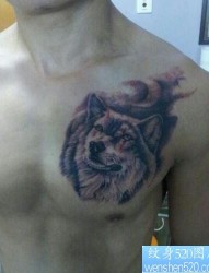 男生胸部霸气的狼头纹身作品