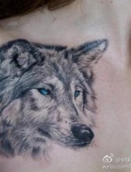 一幅美女胸部狼头纹身作品