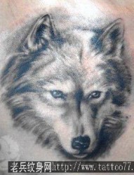 狼纹身作品：一幅潮流经典肩部狼头纹身图案