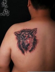 狼纹身作品：肩部滴血狼头纹身图案