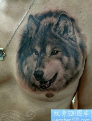 男生前胸时尚超酷的狼头纹身作品