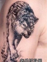 手臂凶恶超酷的狼纹身作品