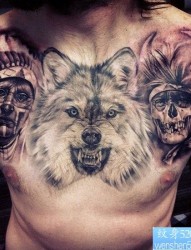 男生前胸霸气流行的狼头纹身作品