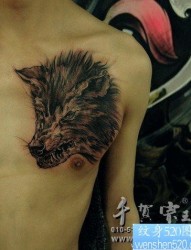 男人胸前一幅很帅凶悍的狼头纹身作品