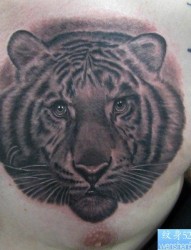 胸口上一幅霸气的虎头纹身图片