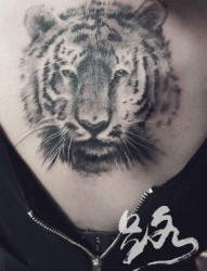 女人后背很酷潮流的虎头纹身图片