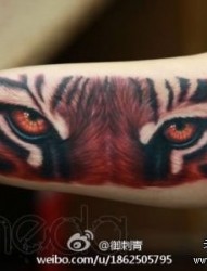 手臂内侧超酷的一幅虎头纹身图片