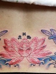 女士臀部漂亮的蜻蜓荷花纹身图案