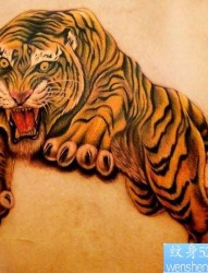 背部超酷的彩色老虎纹身图片