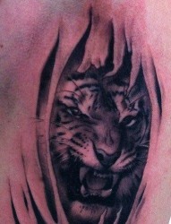 胸部超酷的一幅老虎撕皮纹身图片