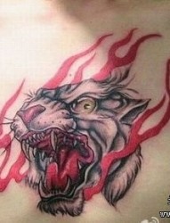 胸部霸气的一幅虎头纹身图片