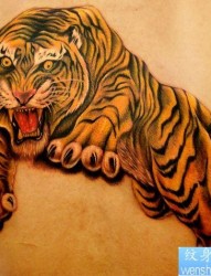 背部霸气的彩色老虎纹身图片