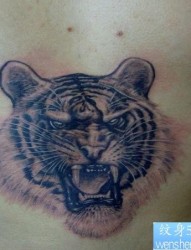 一幅前胸霸气的虎头纹身图片