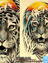霸气的老虎纹身图片