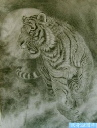 一张单色的虎头纹身手稿