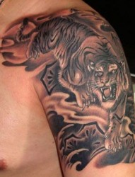 老虎纹身图片：手臂下山虎纹身图片纹身作品