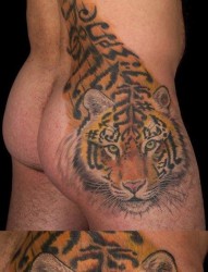 老虎纹身图片：彩色老虎头纹身图片纹身作品
