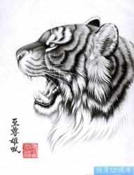 老虎纹身图片：老虎纹身图片纹身作品