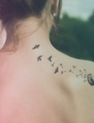 女性背部小鸟刺青