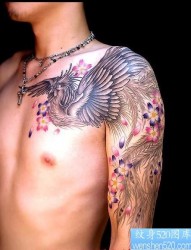 纹身图库：披肩凤凰樱花纹身图片作品