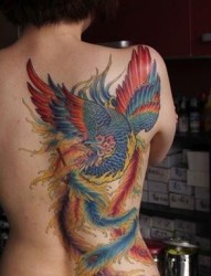 美女背部一幅精美的彩色凤凰纹身图片